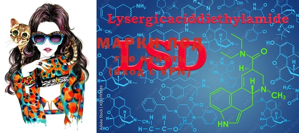 PSILOCYBIN Беломорск