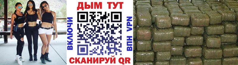 дарнет шоп  Шагонар  Конопля план 
